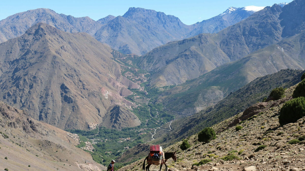 Day Trip to The Atlas Mountains From Marrakech